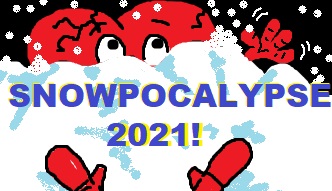 thumbnailsnowpocalypse2021