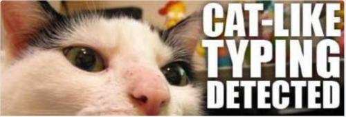 cat like typing detected