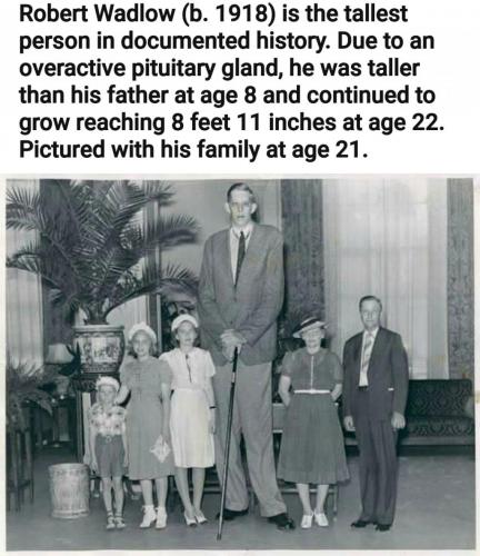 16:02:08 GMT-0500 (EST)