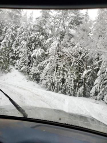 13:00:22 GMT-0800 (PST)