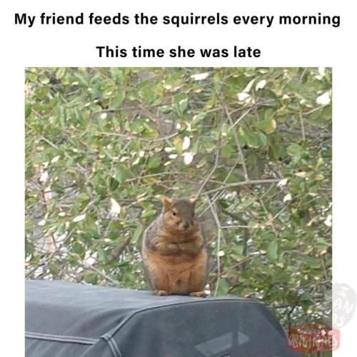 14:41:14 GMT-0800 (PST).image