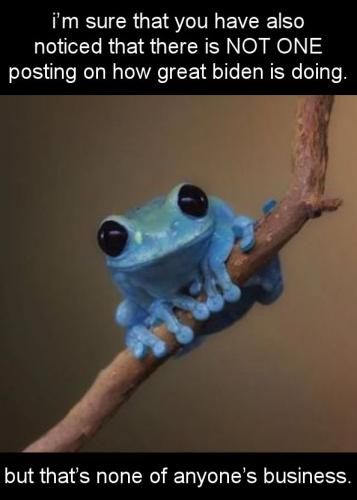 biden416