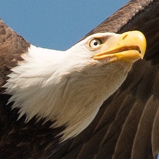 04:28:18 GMT-0600 (CST).image