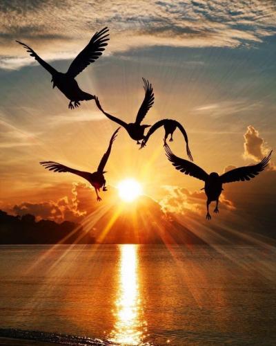 145090260_1789112244588313_3147095278048140458_n