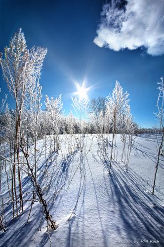 tumblr_03e4ef29dde12dff7583e7eaeb3bfb9c_cf603a42_640