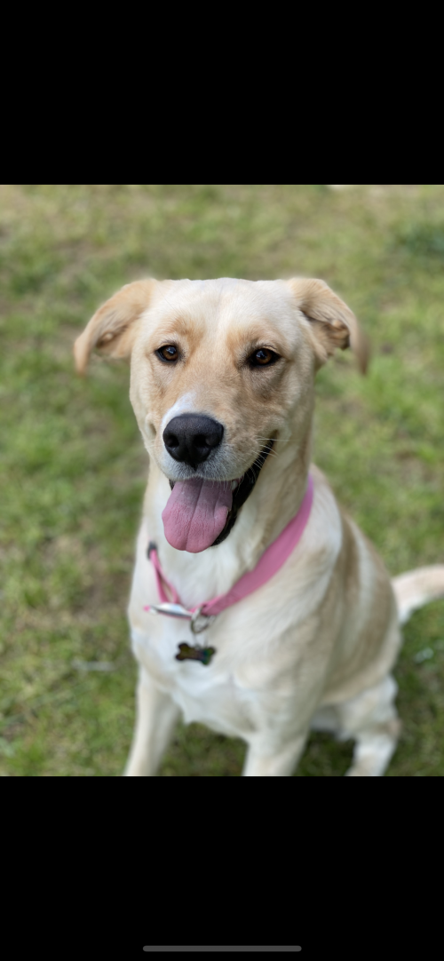 77651DB3-D783-42B3-A028-306945892DA6