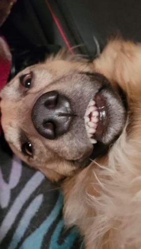 07:36:59 GMT-0600 (CST)