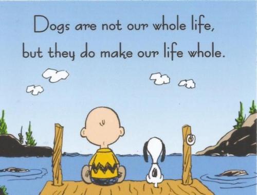 08:51:49 GMT-0700 (MST).image