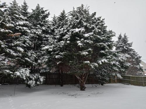 08:36:47 GMT-0600 (CST)