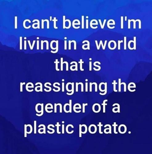 153811539_2351662268300345_8067582637722004974_o