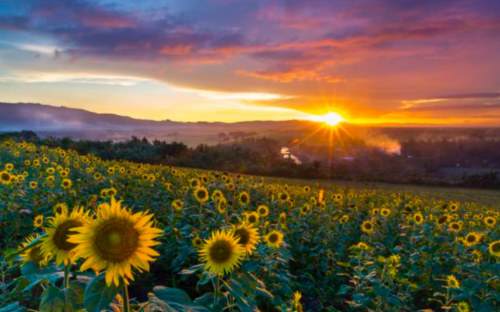 Screenshot 2021-02-21 at 7.55.45 PM