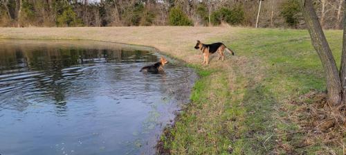 14:36:21 GMT-0600 (CST)