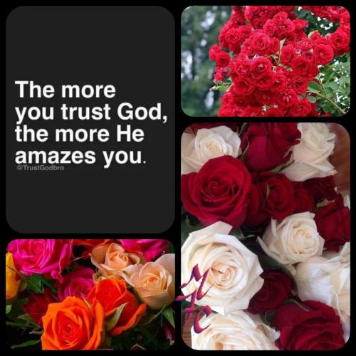 119288323_3555419897814990_2451566319903530989_o