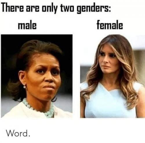 11:13:37 GMT-0600 (CST)