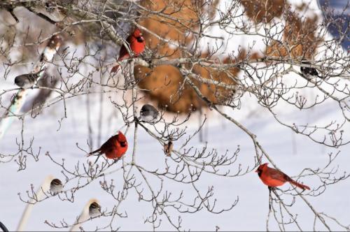 14:16:28 GMT-0600 (CST).image