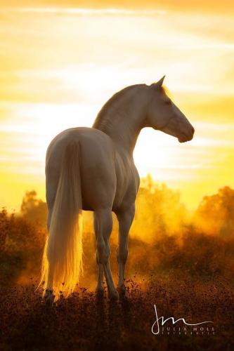 10:35:22 GMT-0600 (CST)