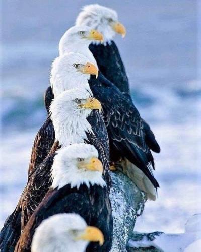 04:24:57 GMT-0600 (CST).image