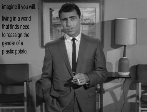 mister potato head03