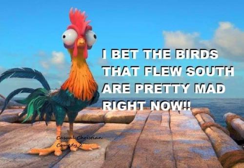 13:52:34 GMT-0600 (CST).image