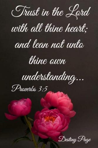 23:01:22 GMT-0600 (CST)