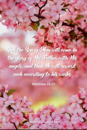 Tumblr_l_431115690957773