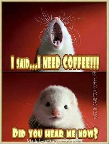 07:25:35 GMT-0600 (CST)