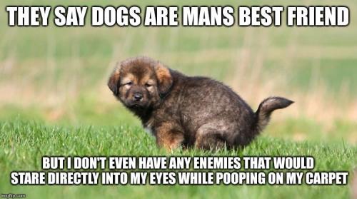 17:32:57 GMT-0700 (MST).image