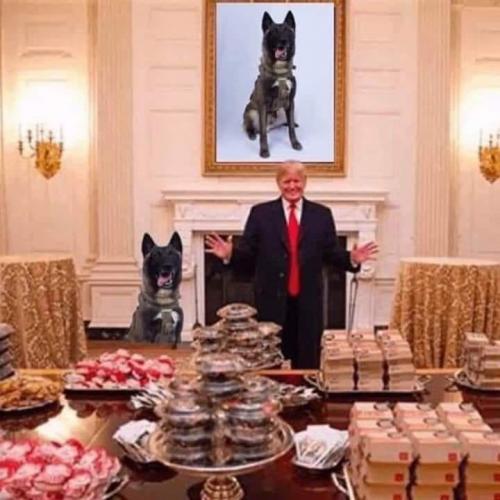 73515775_176674466843512_8500287036710715392_n