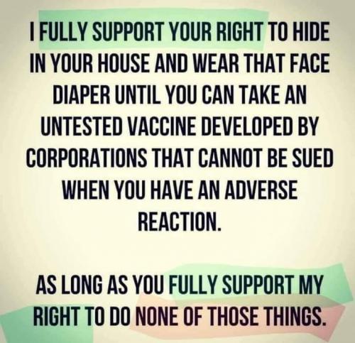 FACE DIAPERS ARE FOR IDIOTS