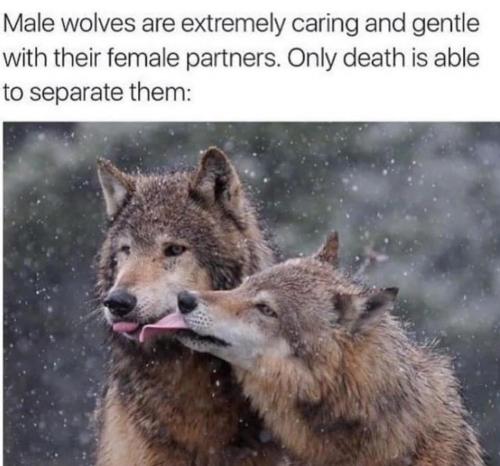 149122343_257843919043867_2816011172030237518_n