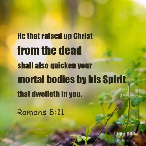 04:49:21 GMT-0500 (EST).*