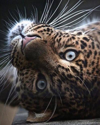 150213649_115507557177282_7873042310672414622_o