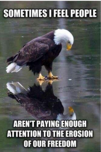 08:36:27 GMT-0500 (EST)