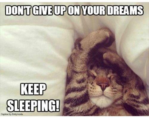 05:49:19 GMT-0500 (EST)