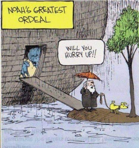 19:32:22 GMT-0600 (CST)