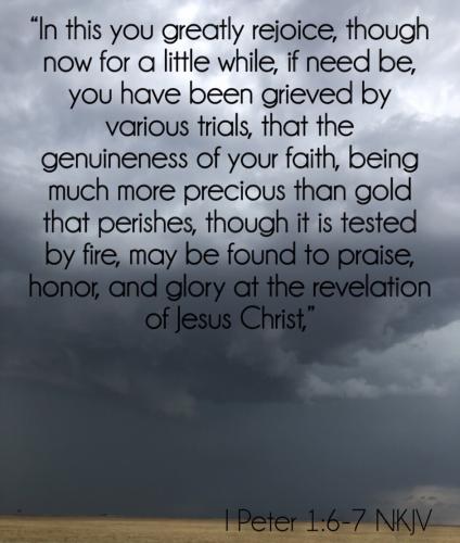 77717DF8-69D7-4491-A9EB-741DD0FF46C1-30982-00001AF051E95C5A