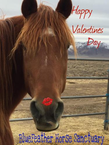 18:45:39 GMT-0800 (PST).image