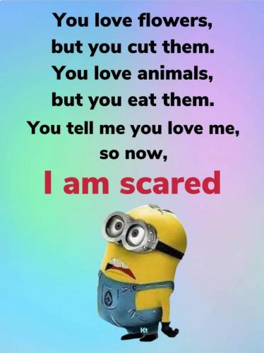 00:38:51 GMT-0500 (EST)