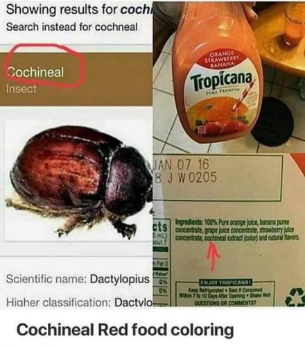 05:38:23 GMT-0500 (EST).image