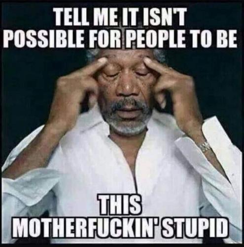 20:29:27 GMT-0500 (EST)