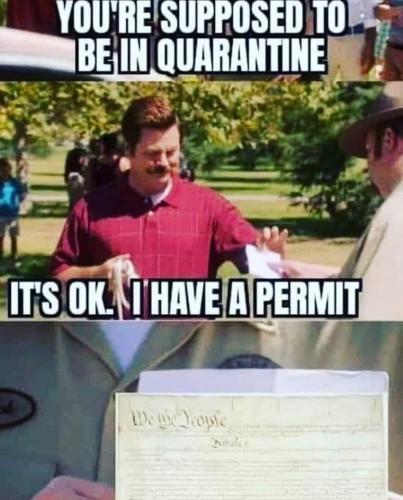 E4A8C5E9-439B-4184-BB88-555F9863CC00-28259-0000183C0969A277