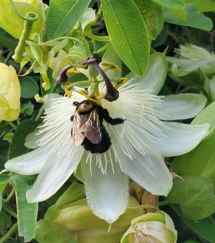 21:29:35 GMT-0800 (PST)