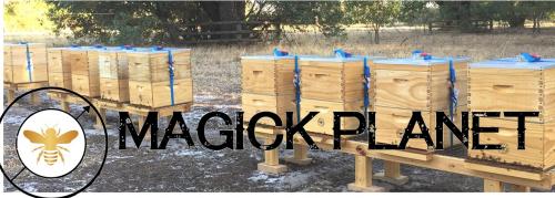 Magick Planet - WIMKIN - Cover