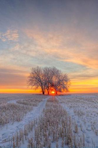 18:40:50 GMT-0600 (CST)