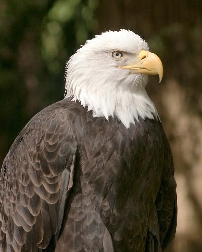 04:28:18 GMT-0600 (CST).image