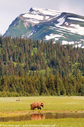 150030457_1514924158706929_6115236676909270851_n