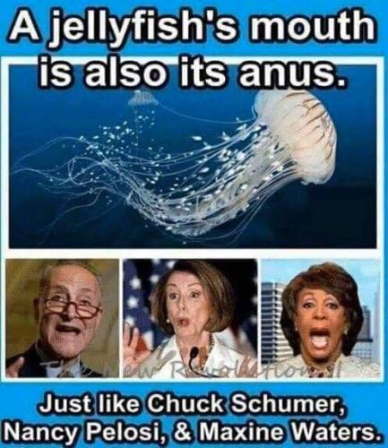 FB_IMG_1612664495670