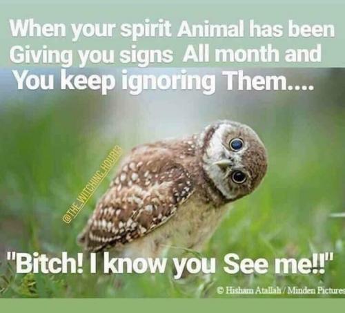 02:51:12 GMT-0500 (EST)