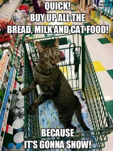 18:43:43 GMT-0500 (EST)