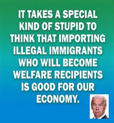 a special kind of stupid